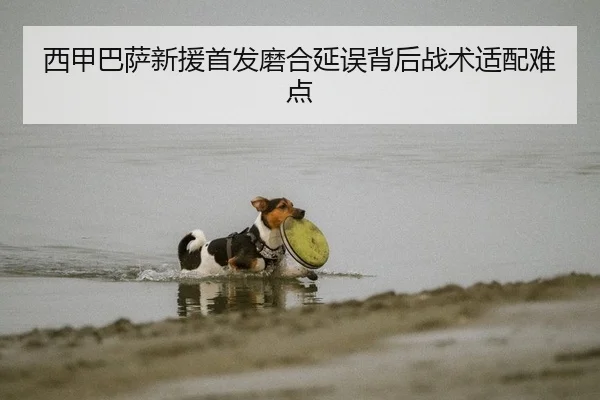 西甲巴萨新援首发磨合延误背后战术适配难点